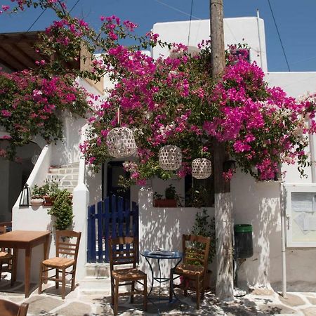 Villa Kavalli Paros Dhragoulas Eksteriør bilde