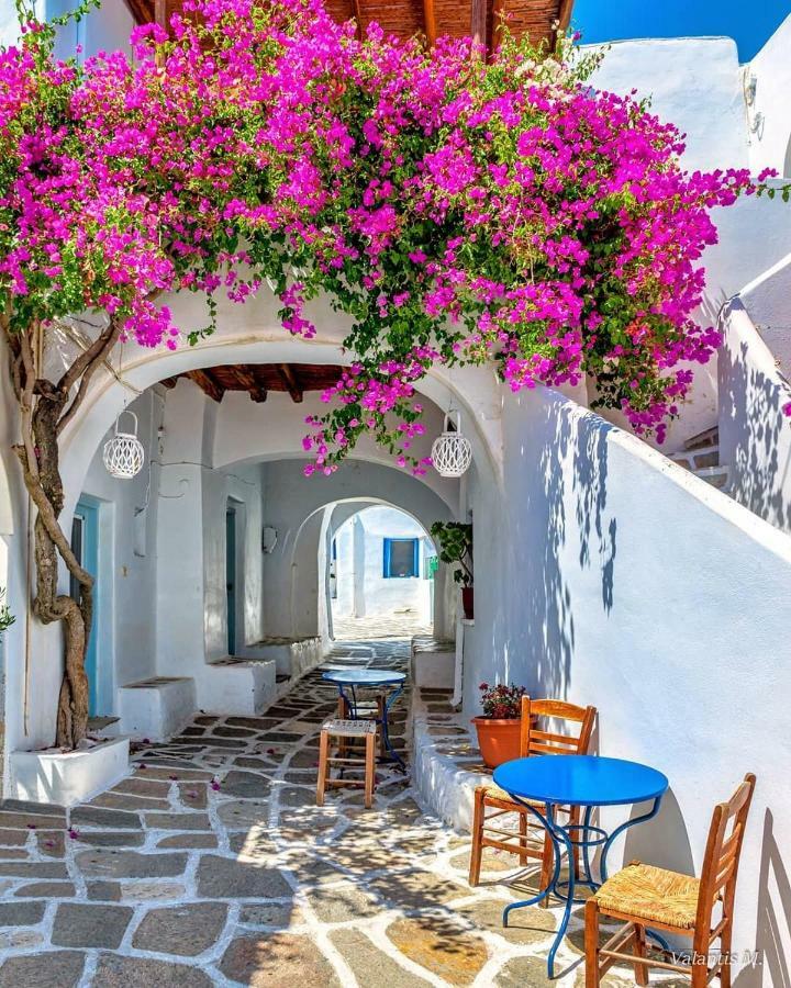Villa Kavalli Paros Dhragoulas Eksteriør bilde